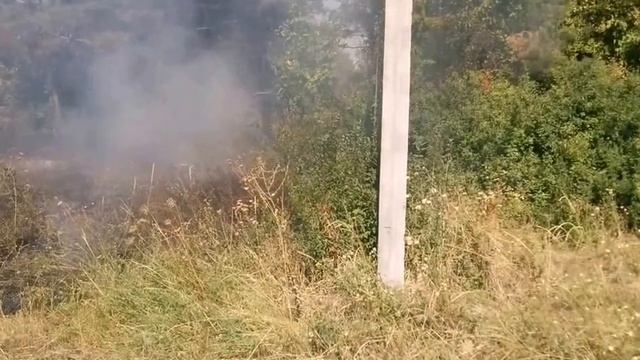 Загорелся зелёный уголок в г Гуково смотреть онлайн