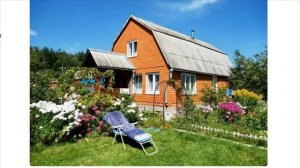 «Теперь хочу дачу».Почему американцу понравились майские праздники на русской даче