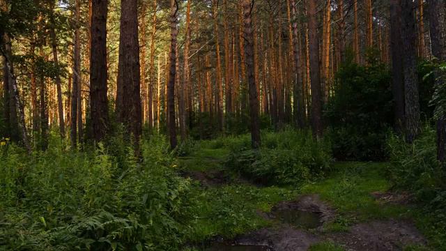 Роберт Адамс -150. Ты - это безграничное пространство, озвучивает Nikosho. смотреть онлайн