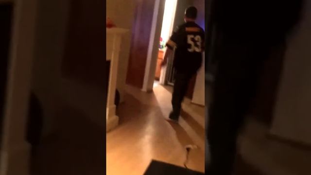 Steelers Fan Goes Ballistic, Smashes TV in loss to Cowboys смотреть онлайн