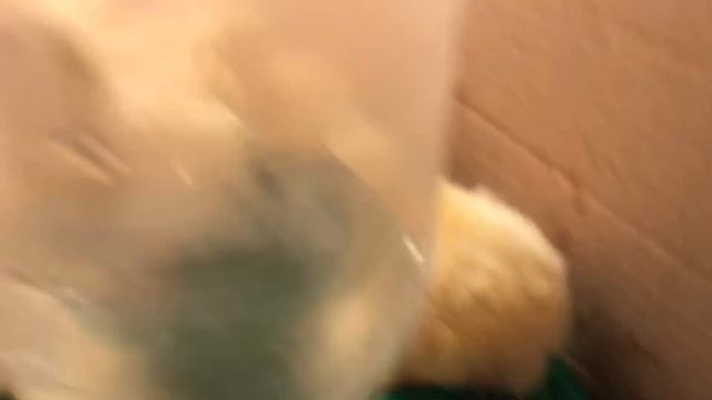 ВЛОГ. УРОЖАЯ НЕ БУДЕТ. ОГОРОД НА ЮГЕ. КУПИЛИ БРОЙЛЕРОВ. ВАКЦИНАЦИЯ СВИНЕЙ. ПЕРЕЕЗД В ДЕРЕВНЮ. смотреть онлайн