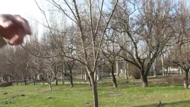 "Мы просим помощи", - начальник хозслужбы ЖЦРБ (видео "Корабелов.Инфо") смотреть онлайн