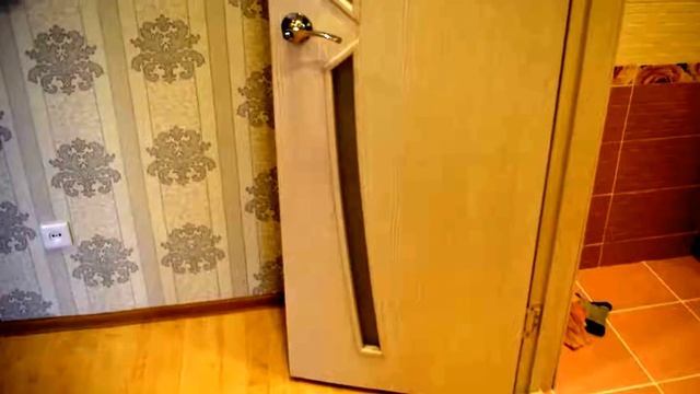 Иркутск мкр Березовый 1ком квартира Поддержать:❤️ СБЕР✅ 5469-1800-1494-4436