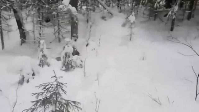 Выгулял собак. Одна из работ Дика! смотреть онлайн