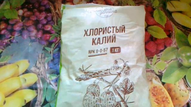 Стройный Мир