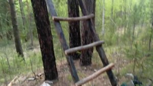 строю лабаз на солонце.