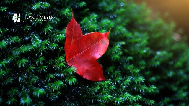 4 novembre | Attendez la Sagesse de Dieu – Méditation Quotidienne par Joyce Meyer смотреть онлайн