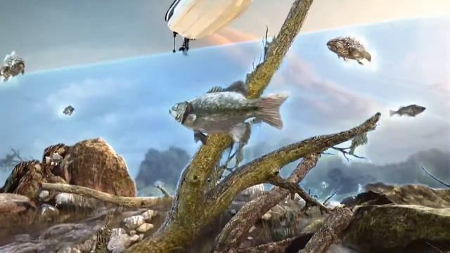 Humminbird 360 Imaging (Humminbirdcom.ru)