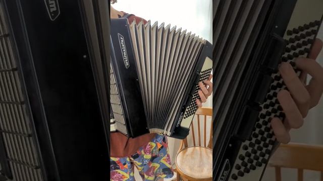 accordion weltmeister Stella 7/8 данный инструмент можно купить по ссылке в комментариях смотреть онлайн