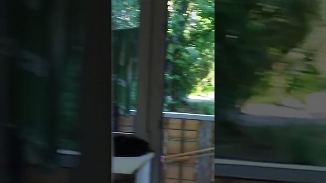 #Как то было дело,смотри что произошло🤭 смотреть онлайн