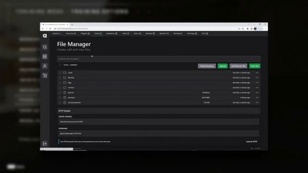 NEW Free Minecraft Server Hosting! Online 24/7 | Java and Bedrock! | Avex Host