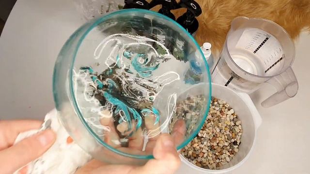 Посылочка от Greenscaping. Новые удобрения для Ваби-куса и один из 40ка шартков от них. смотреть онлайн