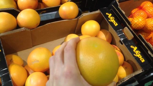 Грейпфруты покрасили краской и лаком смотреть онлайн