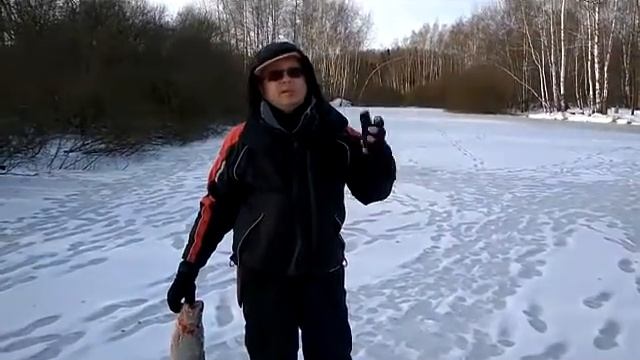 Топтыгин отзыв