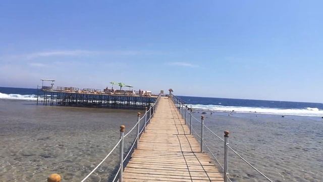 Обзор понтона у отеля Royal Albatros Moderna Египет Шарм эль шейх