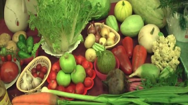Выставка "Дары осени" смотреть онлайн