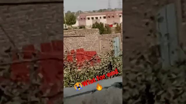 Toba Toba!End no miss? l Ali Brand ? смотреть онлайн