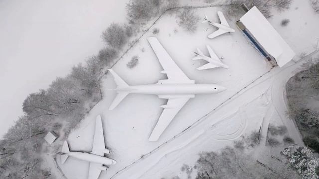 Самолёты в лесу смотреть онлайн