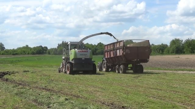 Кормоуборочный комбайн Claas Jaguar 870 подбирает валки на болоте смотреть онлайн