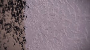 Декоративная штукатурка своими руками из обычной штукатурки. Карта мира под шёлком.