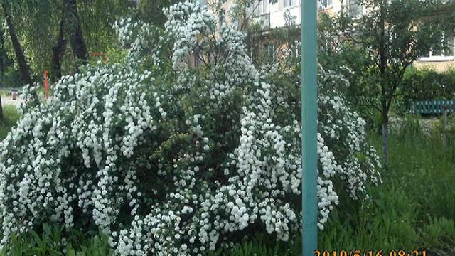 Попутные 18 May 2019 картинки смотреть онлайн