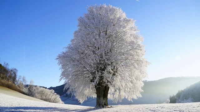 Муж изменял с любовницей, думая что жена об этом не узнает. Но он и представить не мог, какую цену. смотреть онлайн