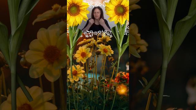 Desobediência Vera Lúcia Volpi - 10/09/2023 #shortsvideo смотреть онлайн