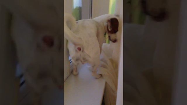 Ребята извините то что видео прервалась камера почему-то выключилась смотреть онлайн