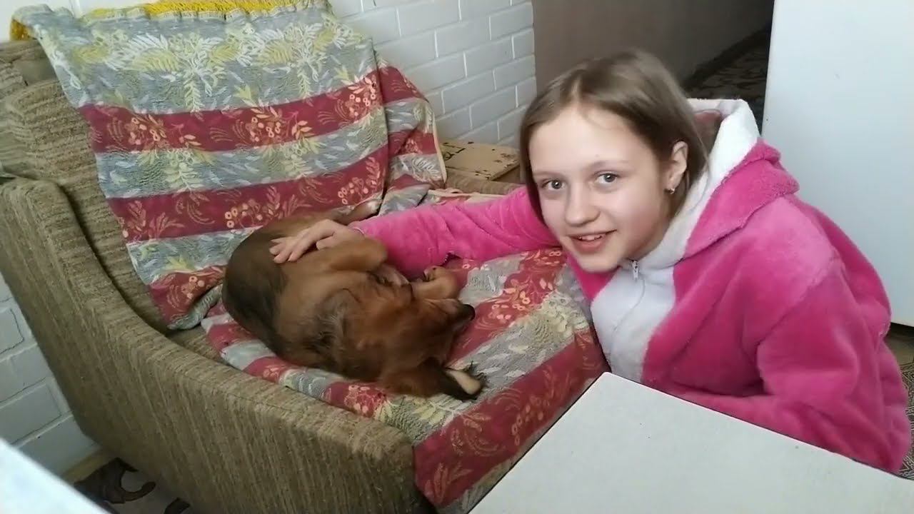 Готовлю / Юля Учится / Разговариваем смотреть онлайн