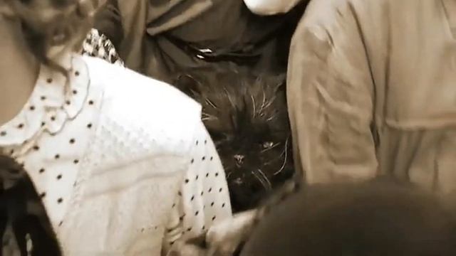 По квантовым волнам // «Код Булгакова» // «Мастер и Маргарита» смотреть онлайн