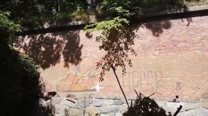 Мобила Завела Нас в Логово Сиреноголового - Свинки спешат на ПОМОЩЬ - Бузя Челлендж