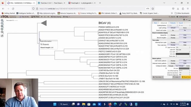 Collapse and Label Clades in a Phylogenetic Tree or Dendrogram смотреть онлайн