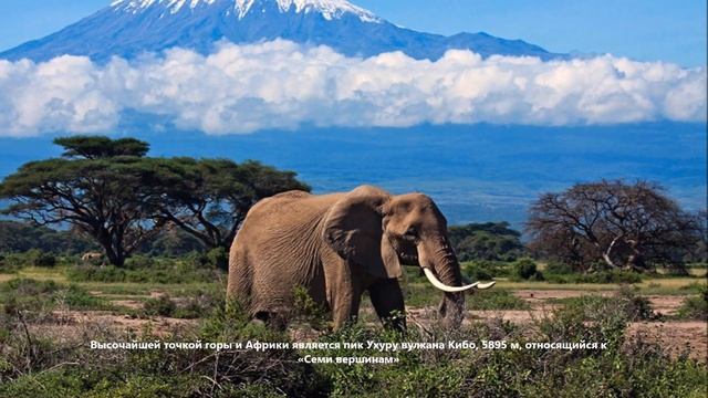 Килиманджаро (Танзания) Kilimanjaro
