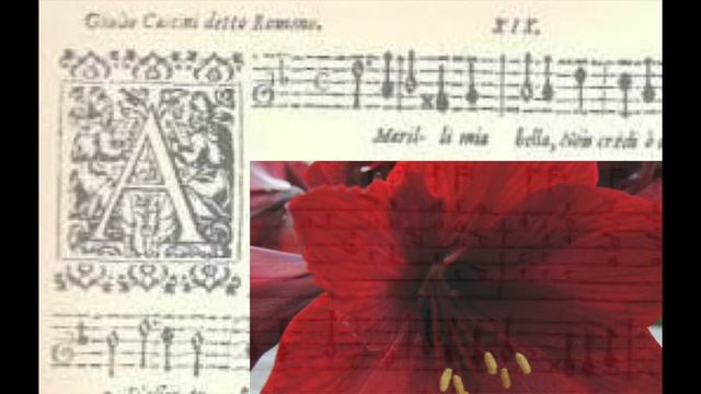 GIULIO CACCINI, Amarilli mia bella - Tullia Pedersoli, Enrico Barbagli смотреть онлайн