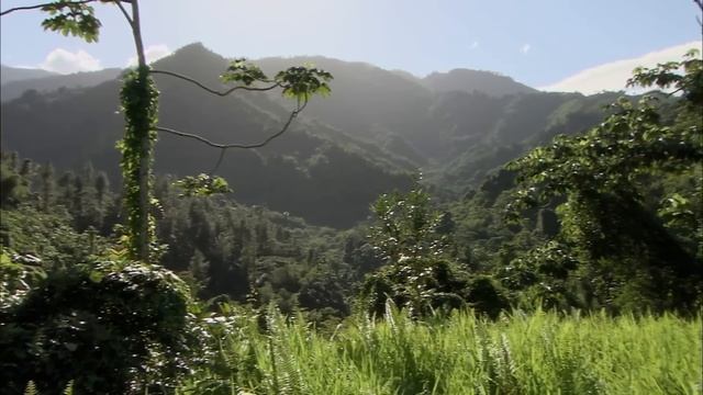 Amazing Quest: Stories from Jamaica | Somewhere on Earth: Jamaica | Free Documentary смотреть онлайн