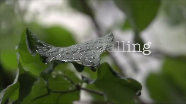 Rain Piano MkII by SampleTekk смотреть онлайн