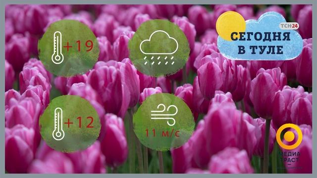 Погода в Тульской области на 4 июня 2020 года смотреть онлайн