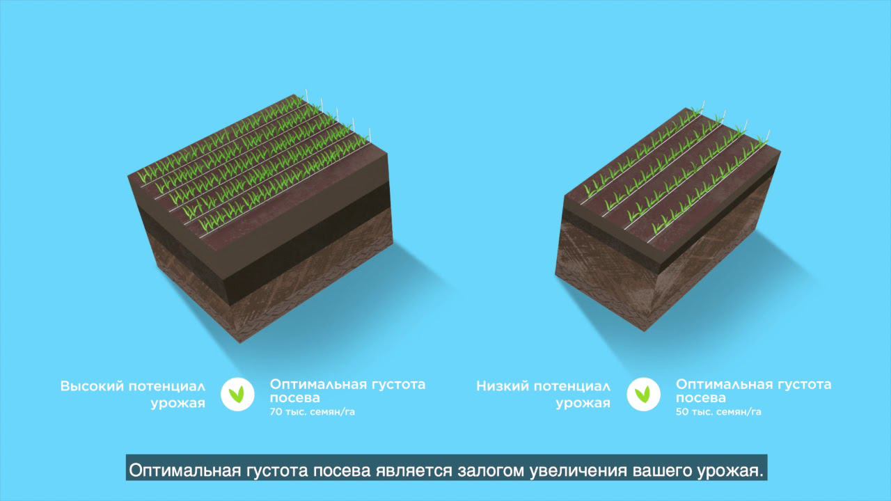 Dekalb адаптация смотреть онлайн