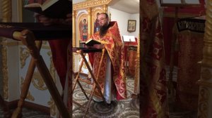 Проповедь в неделю о слепорожденном