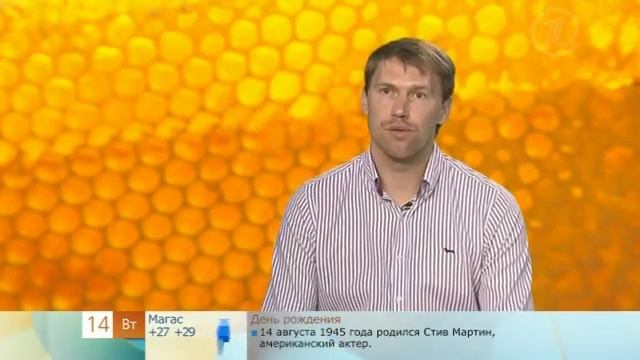 некачественный мёд смотреть онлайн