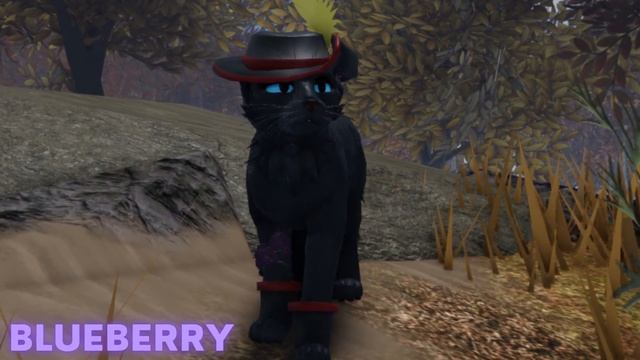 WCUE: All OCs Trying On The Pirate Hat Outfit Gamepass Accessory