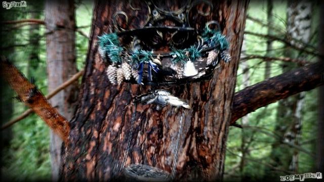 Будни кормушки. Идет дождь