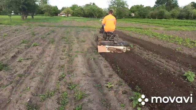 Фрезеровка тыквы минитрактором смотреть онлайн