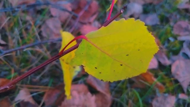 18 ноября народный праздник ДЕНЬ ИОНЫ. Что нельзя делать в этот день. Приметы, Традиции. смотреть онлайн