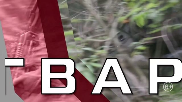 Росгвардия смотреть онлайн