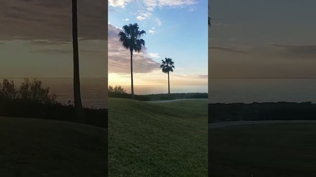 Пафос(Кипр) Территория отеля Cynthiana Beach Hotel смотреть онлайн