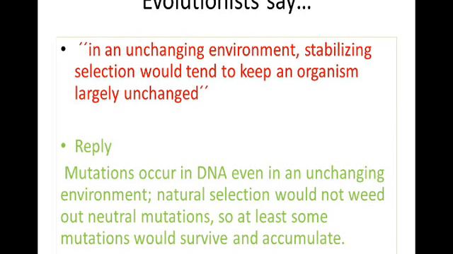 fossil record (refuting evolution) смотреть онлайн