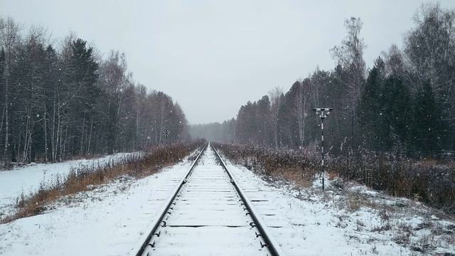 13 Н Некрасов Железная дорога #гражданскаялирика #поэты19века смотреть онлайн