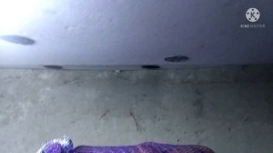 Погреб из бетонных колец, спустя 2 года.