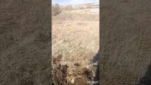 Лисичанск, Ищю и выбиваю, копаю и пиляю или🤠,,Америкос,, гонимый мЭсными крестьянами!!😁 смотреть онлайн